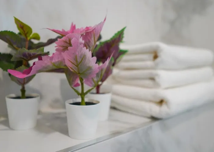 Belvie Apartment